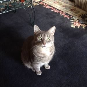 Meet your Posher, Marilyn